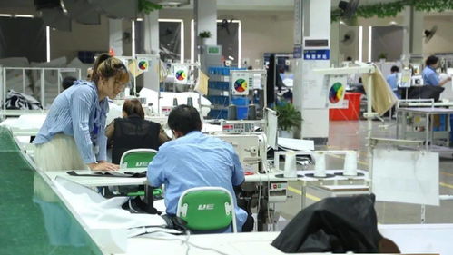 厉害了！湖州新增一中国驰名商标，网络技术研发实力再获认可